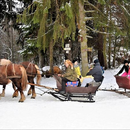 Wigierski Park Narodowy Διαμέρισμα Suwałki Εξωτερικό φωτογραφία