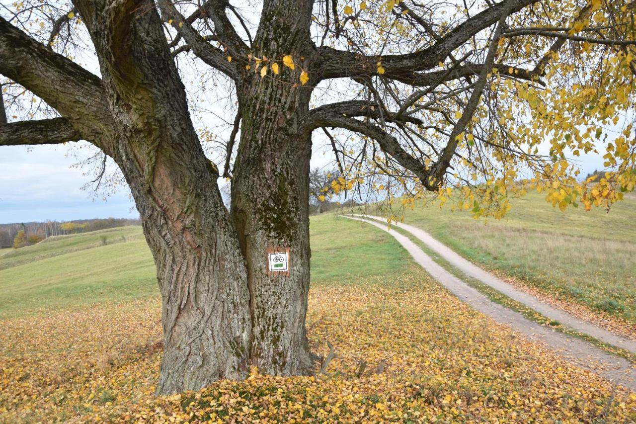 Wigierski Park Narodowy Διαμέρισμα Suwałki Εξωτερικό φωτογραφία