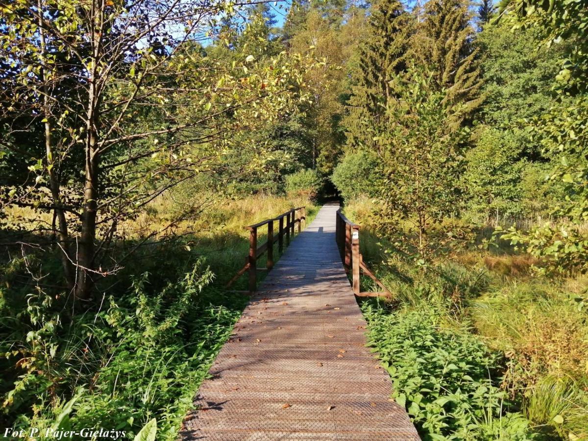 Wigierski Park Narodowy Διαμέρισμα Suwałki Εξωτερικό φωτογραφία